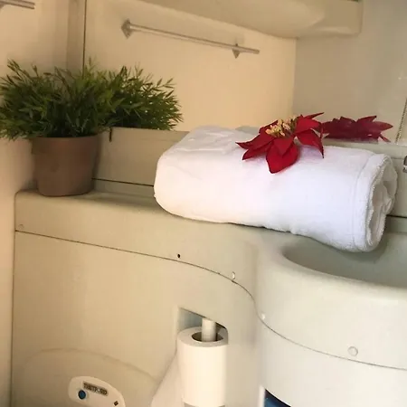 Akisol Ride アゼイタオン